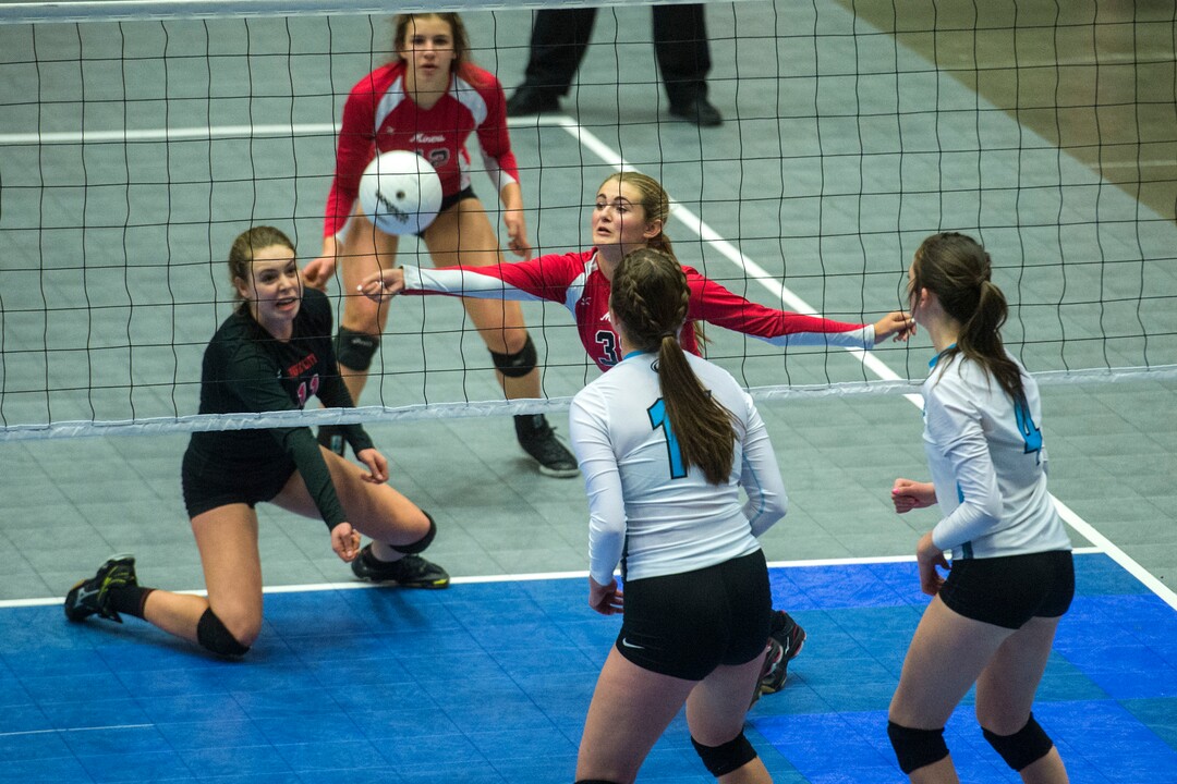 (Chris Detrick  |  The Salt Lake Tribune)  Park City's Grace Stover (38) hits the ball during the the 4A volleyball state championships at the UCCU Center at Utah Valley University Thursday, October 26, 2017.  