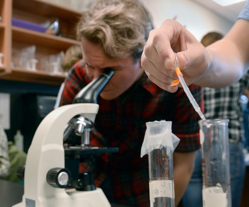(Al Hartmann | The Salt Lake Tribune) Eleventh graders make glass slides and count Paramecium through microscopes in biology class on Wednesday, Oct. 26, 2016.