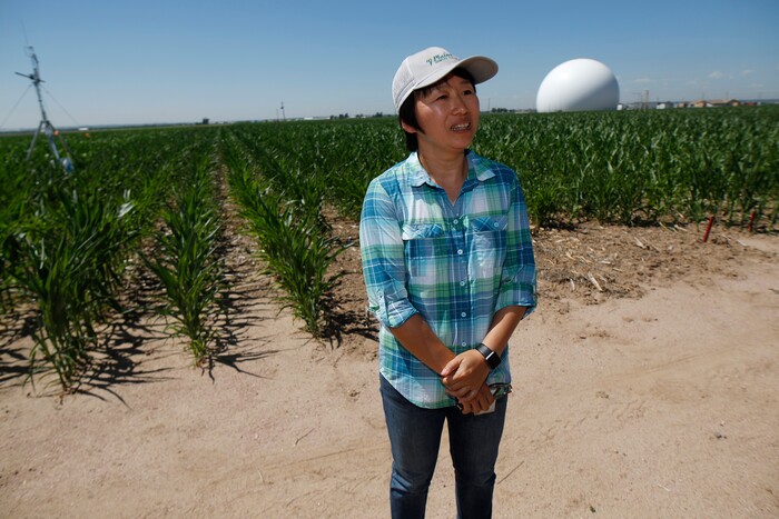 (David Zalubowski | AP Photo) In this Thursday, July 11, 2019, photograph, Huihui Zhang of the United States Department of Afgriculture talks about efforts to use technology at a research farm northeast of Greeley, Colo. Researchers are using drones carrying imaging cameras over the fields in conjunction with stationary sensors connected to the internet to chart the growth of crops in an effort to integrate new technology into the age-old skill of farming.