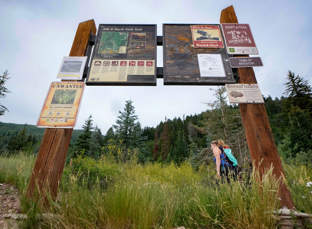 (Francisco Kjolseth | The Salt Lake Tribune) A hiker heads up the Mill D North Fork trail in Big Cottonwood Canyon on Thursday, Aug 4, 2022.