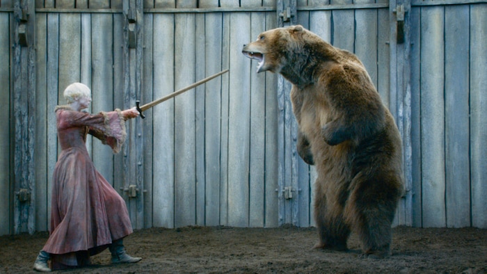 Courtesy photoBart the Bear from Heber City, Utah in one of his latest roles appearing with Gwendoline Christie in HBOÕs ÒGame of ThronesÓ.