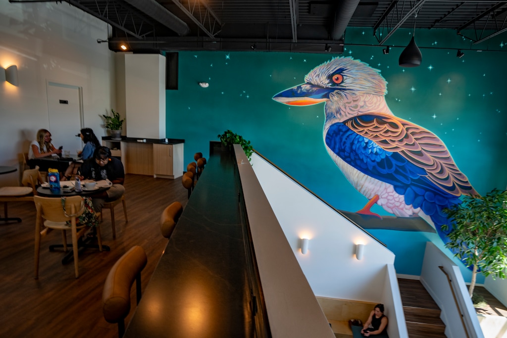 (Rick Egan | The Salt Lake Tribune) A mural of a kookaburra, created by artist Chris Peterson, overlooks the seating area at Perch Coffee in Millcreek.