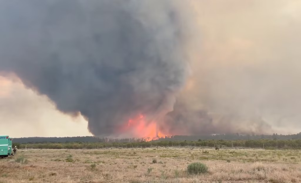 (Bureau of Land Management via Facebook) A vortex of wind and flame forms during the Deer Creek Fire near La Sal on July 12, a blaze that burned nearly 18,000 acres and is now at the center of a PETA request for additional animal-cruelty charges.
