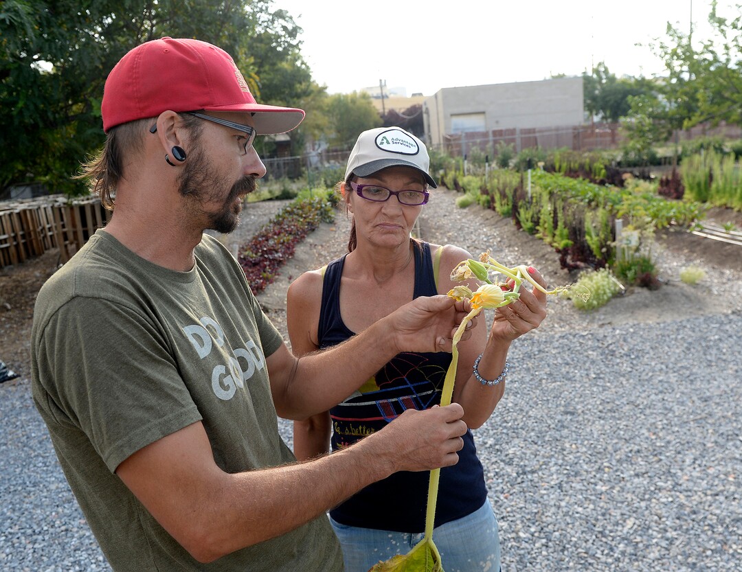 (Al Hartmann  |  The Salt Lake Tribune) Garden manager James Loomis answers a question about a pumpkin's health with Nikki at the Wasatch Community Gardens' Green Team farm on Wednesday, Aug. 2. A group of homeless and formerly homeless women tend a 1.5-acre vegetable farm on land owned by the Salt Lake City's Redevelopment Agency. The women are paid as they learn about agriculture and business, and they receive a break from the stresses of their daily lives.