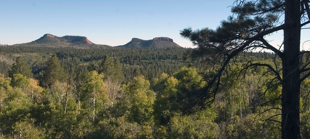 (Al Hartmann  |  The Salt Lake Tribune)  A view across the forested high country of Elk Ridge with the Bears Ears formation in the distance.  This is rugged terrain of the Elk Ridge premium limited entry elk hunting unit in San Juan County where some of the biggest elk in Utah roam. It was included in Bears Ears National Monument.