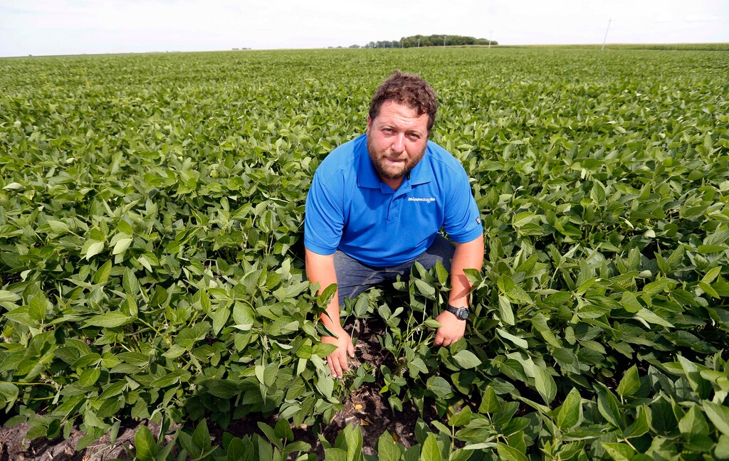 In this July 18, 2018 photo, soybean farmer Michael Petefish poses in his soybean field at his farm near Claremont in southern Minnesota. American farmers have put the brakes on unnecessary spending as the U.S.-China trade war escalates, hoping the two countries work out their differences before the full impact of China's retaliatory tariffs hits American soybean and pork producers. (AP Photo/Jim Mone)