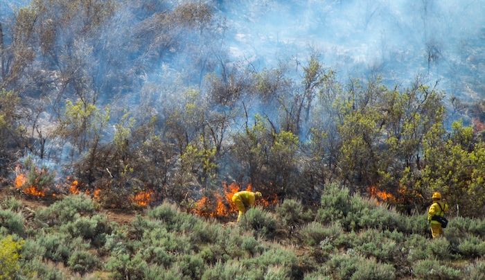 (Rick Egan  |  The Salt Lake Tribune)   Firefighters battle a fire near the Dutch Canyon Road in Midway, Tuesday May 12, 2020
