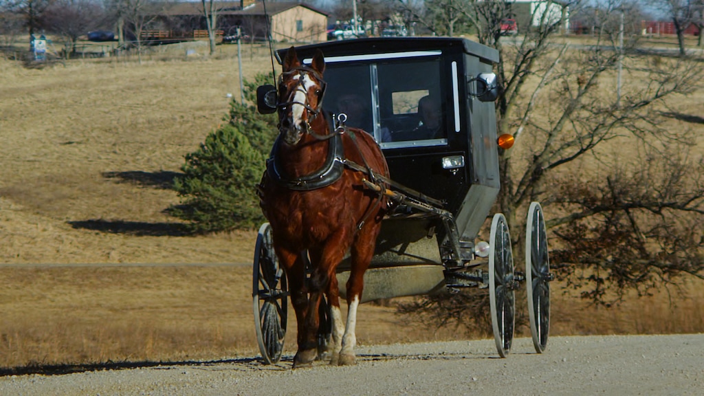 (Joe Taylor Cinema via Adobe Stock) An Amish covered buggy travels along a road in Davis County, Iowa. Lovina Zook fled her Amish roots and now is a TikTok star.