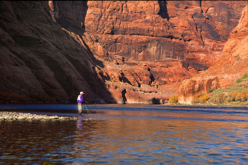 In this photo provided by Terry Gunn, an angler casts a line at Lees Ferry near Marble Canyon, Ariz. June 7, 2011. From prized rainbow trout to protected native fish, declining reservoirs are threatening the existence of these creatures, and also increasing the cost of keeping them alive. (Terry Gunn via AP)