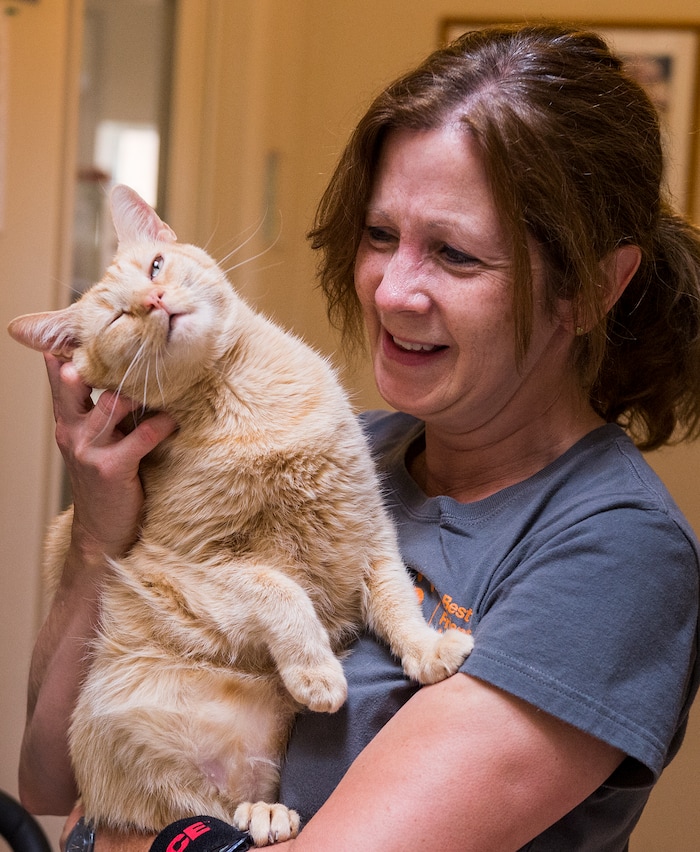 Leah Hogsten  |  The Salt Lake Tribune
Best Friends caregiver Mary Dulka gives scratches to Gilly, who is also known as the "mayor" of the feline leukemia-positive building. Best Friends saves thousands of animals every year as the nation's largest no-kill sanctuary, encompassing some 3,700 acres about 5 miles outside Kanab.
