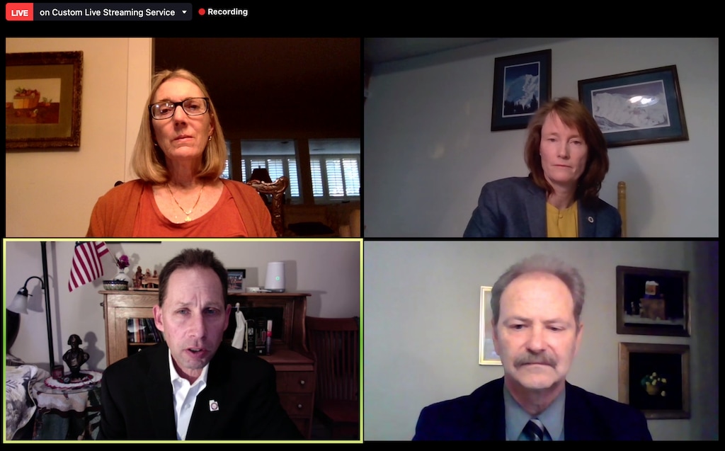 (Screenshot of virtual debate) State Sen. Kathleen Riebe, D-Cottonwood Heights, top right, debated her Republican rival, physician Brian Zehnder, bottom left, during a Sept. 24, 2020, virtual forum hosted by the Better Utah Institute and League of Women Voters of Utah.