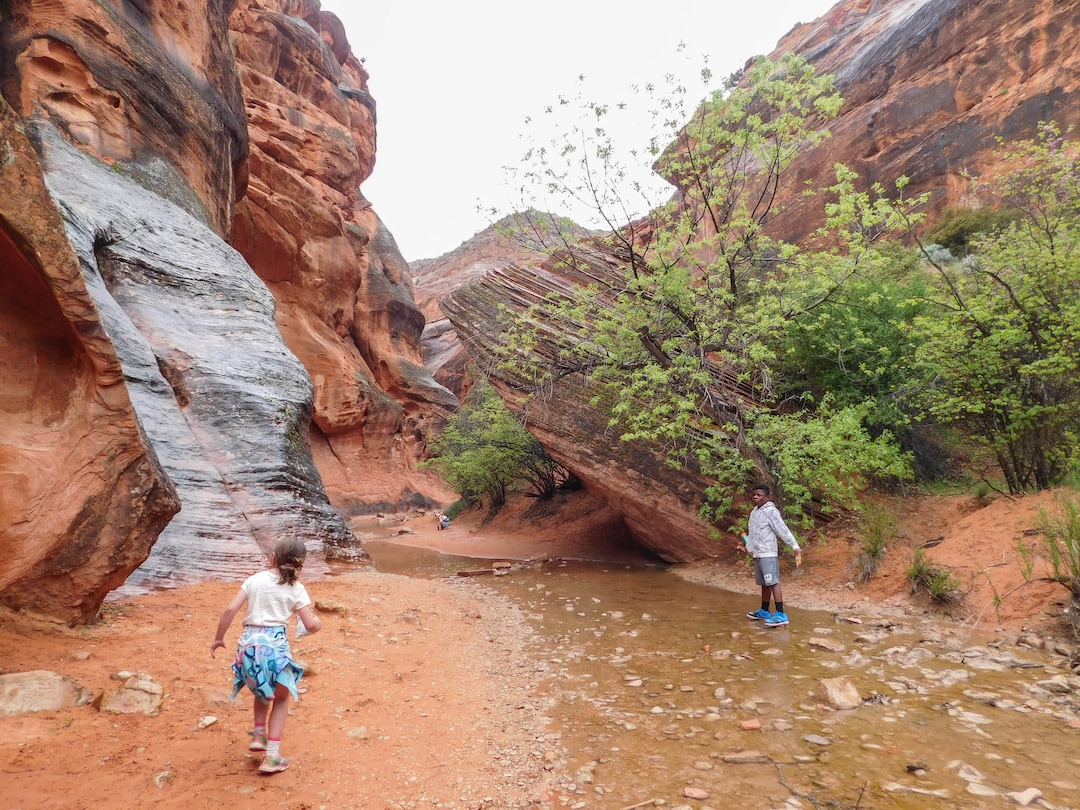 Erin Alberty  |  The Salt Lake TribuneYoung hikers negotiate Quail Creek just below the waterfall April 3, 2017 on the Red Reef Trail in Red Cliffs Desert Reserve, north of Harrisburg.