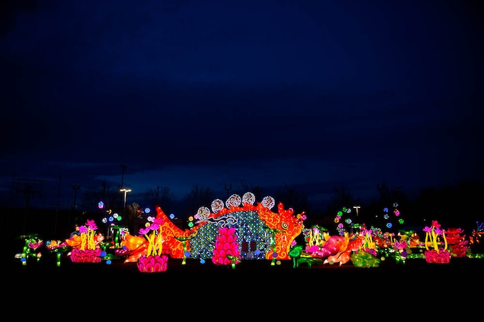 (Trent Nelson | The Salt Lake Tribune)  Dragon Lights SLC, part of the China Lights touring festival, opens March 23 and continues through May 6 at the Utah State Fairpark. This international cultural experience includes 39 custom-built illuminated exhibits, traditional Chinese handicrafts, dance and acrobatic performances, and a variety of Chinese food and traditional fair food and beverages. Dragon Lights SLC provides an opportunity for the community to explore the ancient culture of China while learning about China today.
