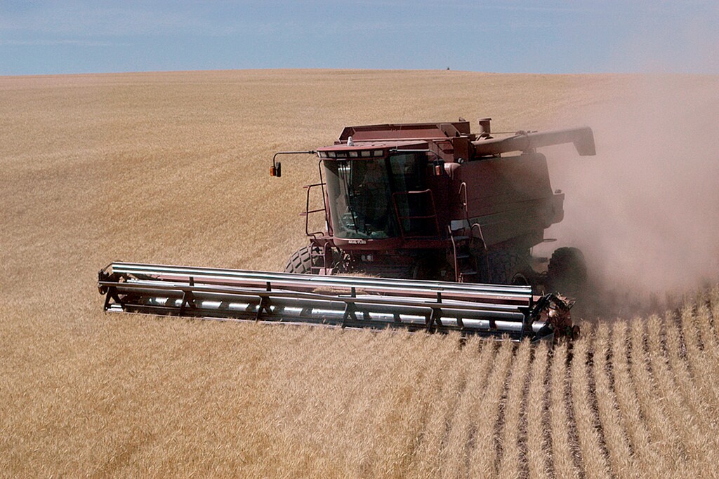 (Eric Mortenson | The Capital Press via AP file) Operator Justin Waggoner swings his combine into wheat growing outside Condon, Ore., on Aug. 16, 2017.