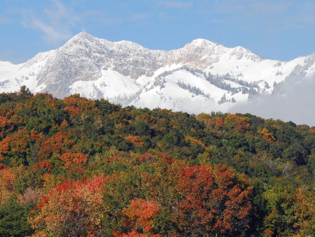 (Dee Sessions | Courtesy of U.S. Forest Service) Mt. Ogden appears above fall foliage near Trapper Loop Road in the Uinta-Wasatch-Cache National Forest.