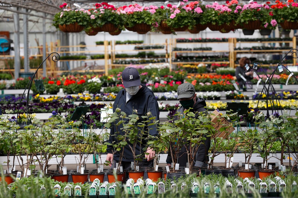 (Paul Sancya | AP) Shoppers look at plants at a nursery in Macomb, Mich., Monday, April 27, 2020. Business groups are pushing Congress to limit liability from potential lawsuits filed by workers and customers who were infected by the coronavirus.