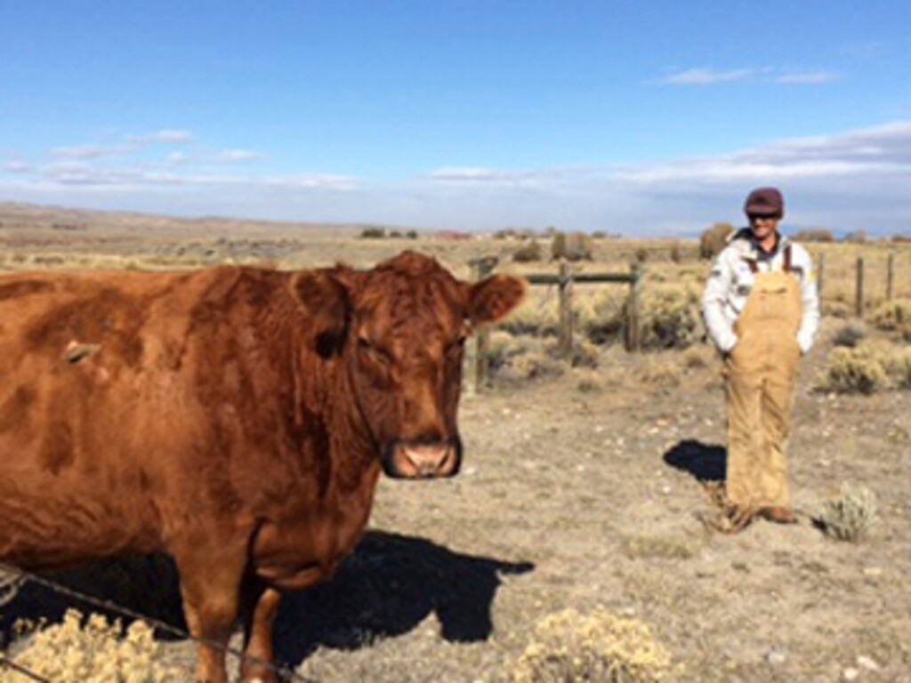 (Pat Graham | The Associated Press) In this Friday, Oct. 13, 2017, photograph, rancher Tom Johnston is shown on his ranch near Pinedale, Wyo. Johnston, who ranches on nearly 1,800 leased acres near the tiny town of Pinedale, is one of the world's foremost experts on shaping an Olympic skiing race course, most notably the tracks for the downhill and Super G competitions including those in the upcoming games in South Korea.