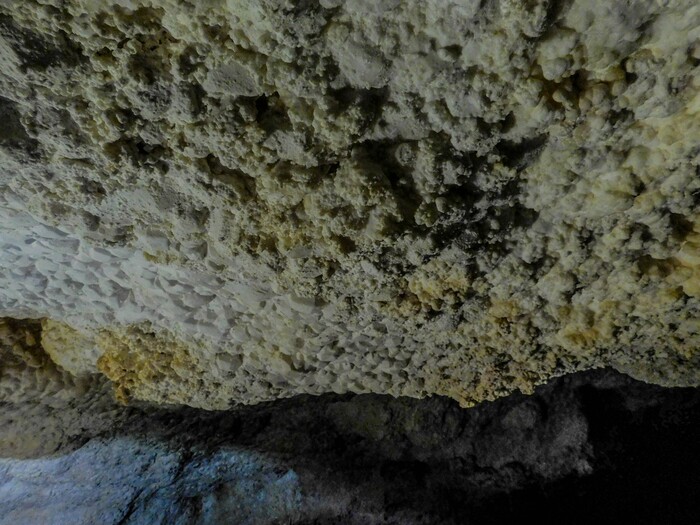 Erin Alberty  |  The Salt Lake TribuneMineral formations known as "cave popcorn" and "cowboy crystals" mix together on the ceiling of Crystal Ball Cave in Gandy, Utah.