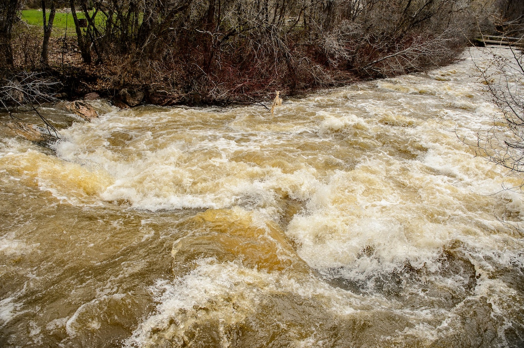 (Trent Nelson  |  The Salt Lake Tribune)  The South Fork Ogden River east of Huntsville on Monday April 22, 2019.