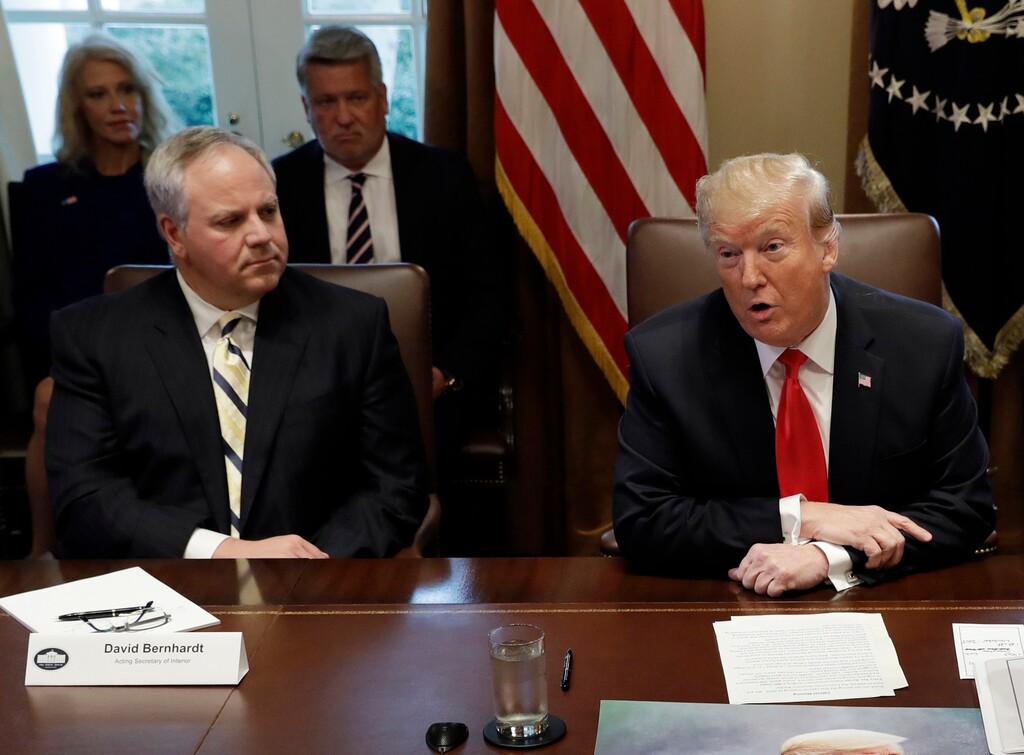 (AP Photo/Evan Vucci, File) In this Jan. 2, 2019, file photo, President Donald Trump speaks during a cabinet meeting at the White House, Wednesday, Jan. 2, 2019, in Washington, as Acting Interior Secretary David Bernhardt listens. The Senate confirmed Bernhardt to his post Thursday.