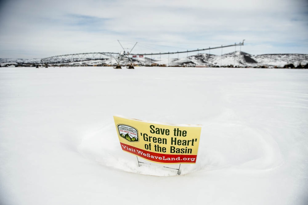 (Trent Nelson | The Salt Lake Tribune)  The Osguthorpe Farm, a 158-acre parcel on Old Ranch Road in the heart of the Snyderville Basin on Monday March 18, 2019. The Summit Land Conservancy is facing a March 31 deadline to raise money to save the farm.