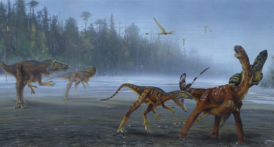 (Artwork courtesy of Todd Marshall) Allosaurus jimmadseni was the top predator in its ecosystem.