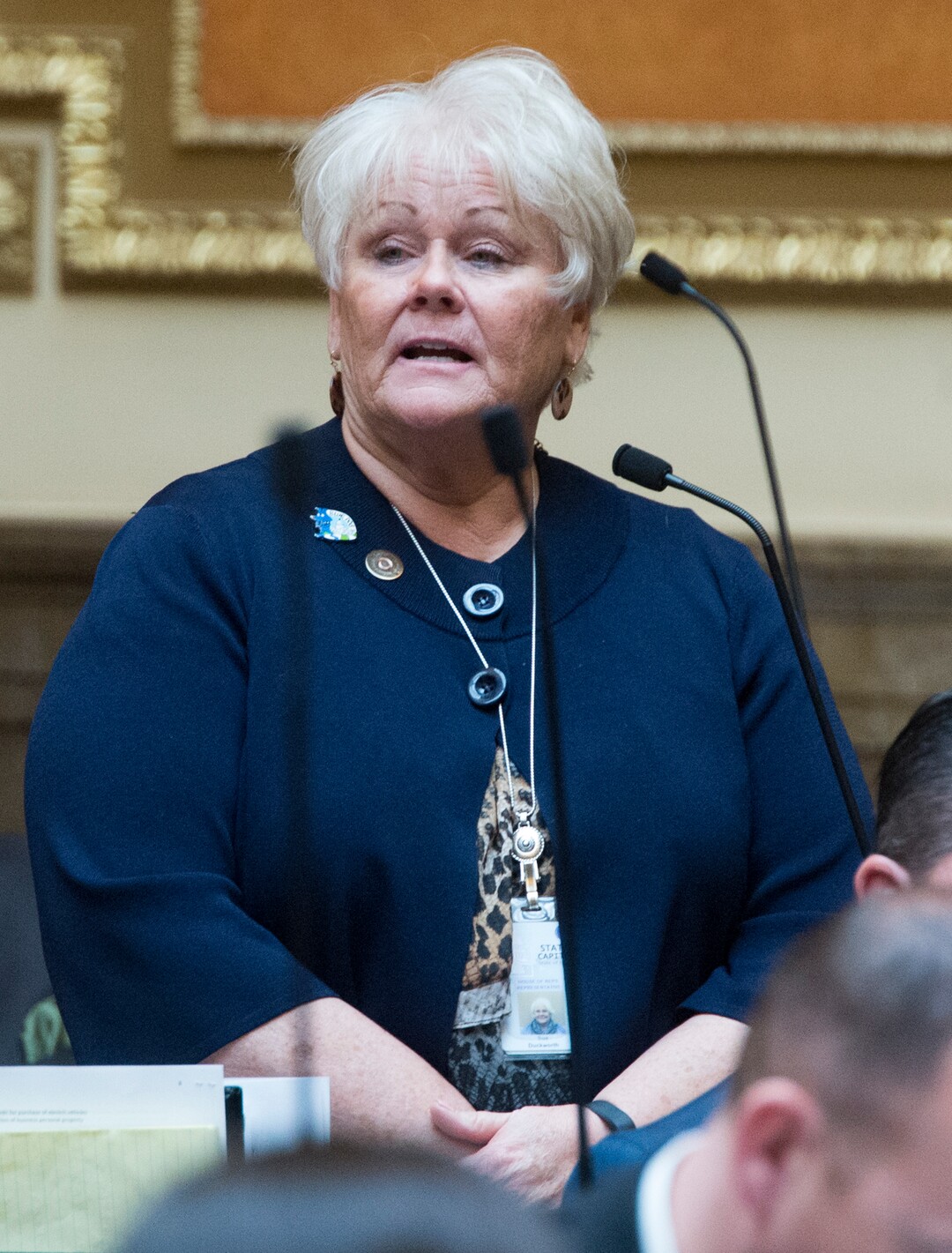 (Rick Egan  |  The Salt Lake Tribune)    Rep. Susan Duckworth discusses  HB 41, which has become known as "Hannah's Bill" on the floor of the House of Representatives, Friday, January 26, 2018.