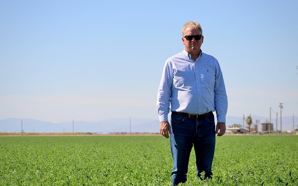 (Alex Hager | KUNC) Farmer Alex Jack stands in an alfalfa field watered by a drip-irrigation system on June 20, 2023. California’s Imperial Valley has the single-largest allocation of Colorado River water, and Jack says growers need funding to upgrade their systems and conserve water.