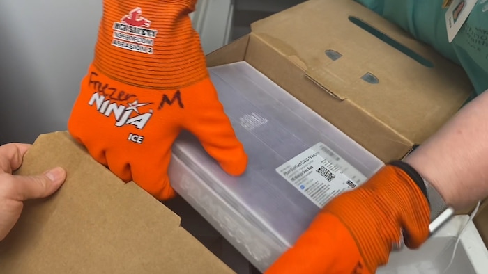 (Photos courtesy Intermountain Healthcare) An employee at Utah Valley Hospital in Provo unboxes the state of Utah's first batch of COVID-19 vaccine, on Monday, Dec. 14, 2020. The vaccine, developed by Pfizer Inc. and BioNTech, must be stored at around 95 degrees below zero Fahrenheit, so it is shipped surrounded by dry ice and stored in a supercold freezer.