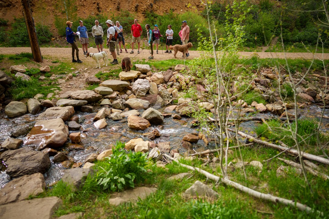 (Trent Nelson  |  The Salt Lake Tribune) Caitlin Willard leads a Hops Hunters Hike in Empire Canyon, Park City on Wednesday, June 8, 2022. The hikes, organized by the Summit Land Conservancy, bring awareness to wild hops in Utah.