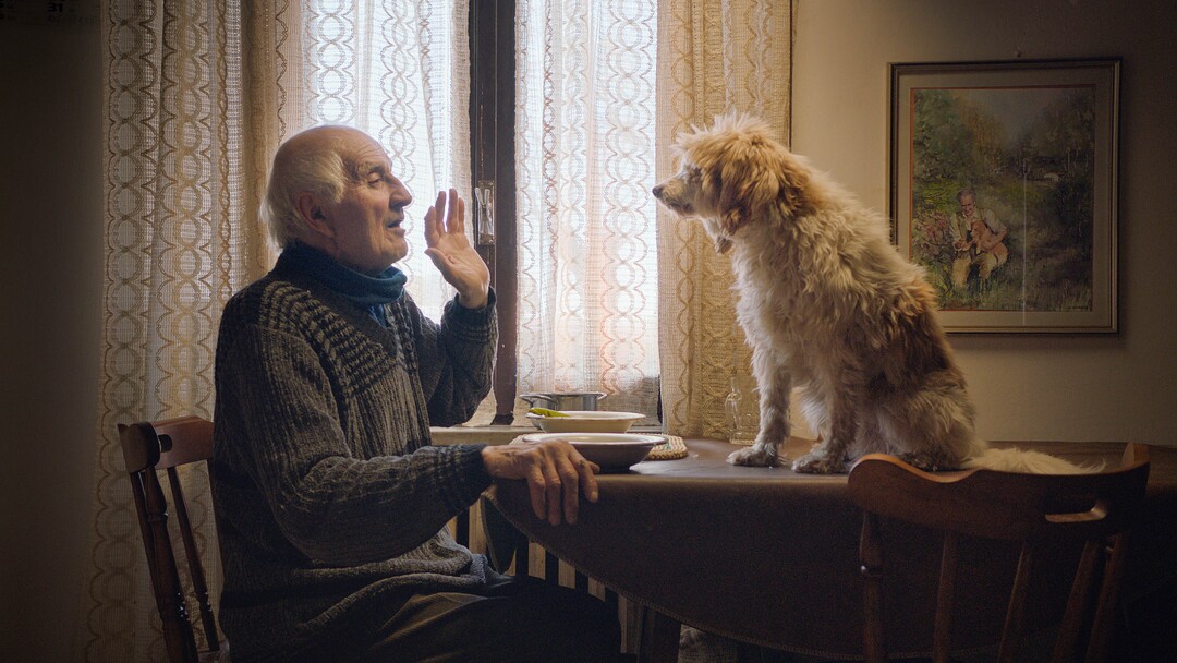 (Photo courtesy of Sony Pictures Classics) The documentary "The Truffle Hunters," directed by Michael Dweck and Gregory Kershaw, profile the interesting people (and animals) who seek out rare and expensive fungus.
