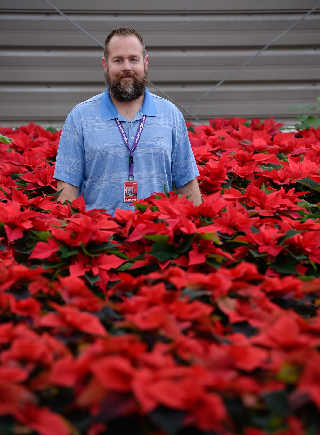 (Francisco Kjolseth  |  The Salt Lake Tribune)  Dave Tingey, Senior Airport Grounds and Pavement Supervisor at Salt Lake City International Airport tours the greenhouse near the control tower where they grow 1500 poinsettias for the holiday season. Starting Sunday staff will start to distribute the various breeds grown from small plugs to decorate the terminals for Christmas.