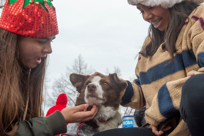 (Rick Egan  |  The Salt Lake Tribune)    Volunteers, Aitza Perez, 14, and Aimar Perez, 15, pet a dog named Victory, at the Street Dawg Crew Christmas outreach at Liberty Park Sunday.  The Street Dawg Crew supports the homeless and their pets  every Sunday at Pioneer Park. Today besides  passing out food and gift bags for humans and animals, they offered a photo opportunity with Santa. Sunday, Dec. 22, 2019. For the Christmas Outreach today, the Crew they offered a photo opportunity with Santa. Sunday, Dec. 22, 2019.