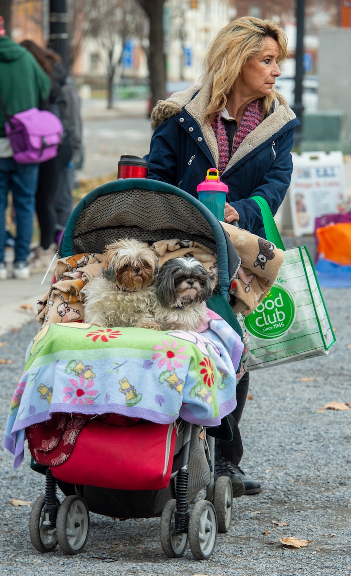 Laurie Sellers wheels her dohwith her dogs Little bit and Baby, during the Street Dawg Crew Christmas outreach at Liberty Park Sunday.  The Street Dawg Crew supports the homeless and their pets every Sunday at Pioneer Park. Today besides passing out food and gift bags for humans and animals, they offered a photo opportunity with Santa. Sunday, Dec. 22, 2019.