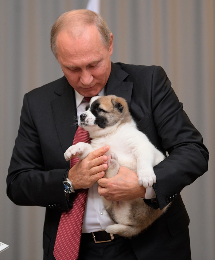 Russian President Vladimir Putin holds a puppy presented by Turkmenistan's President Gurbanguly Berdymukhamedov during their meeting in the Bocharov Ruchei residence in the Black Sea resort of Sochi, Russia, Wednesday, Oct. 11, 2017. The presidents met at the sidelines of a summit of leaders of ex-Soviet nations in Sochi. (Alexei Druzhinin/Sputnik, Kremlin Pool Photo via AP)