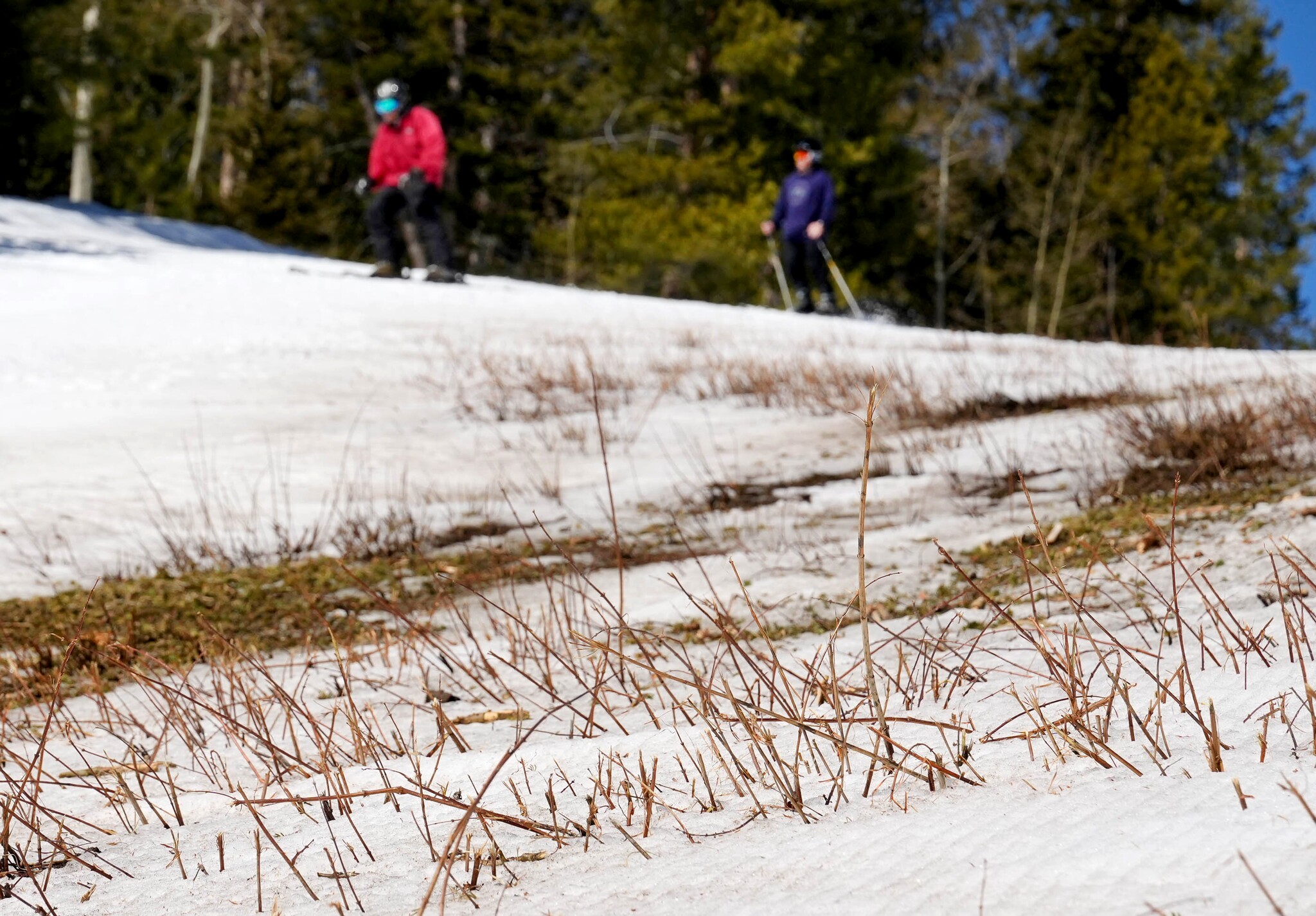 Water and wildfires: How 2026's snow drought impacts the West
