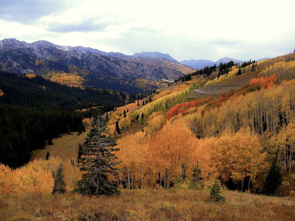 Erin Alberty|The Salt Lake Tribune
Patches of orange and forest green cover Big Cottonwood Canyon below Guardsman Pass.