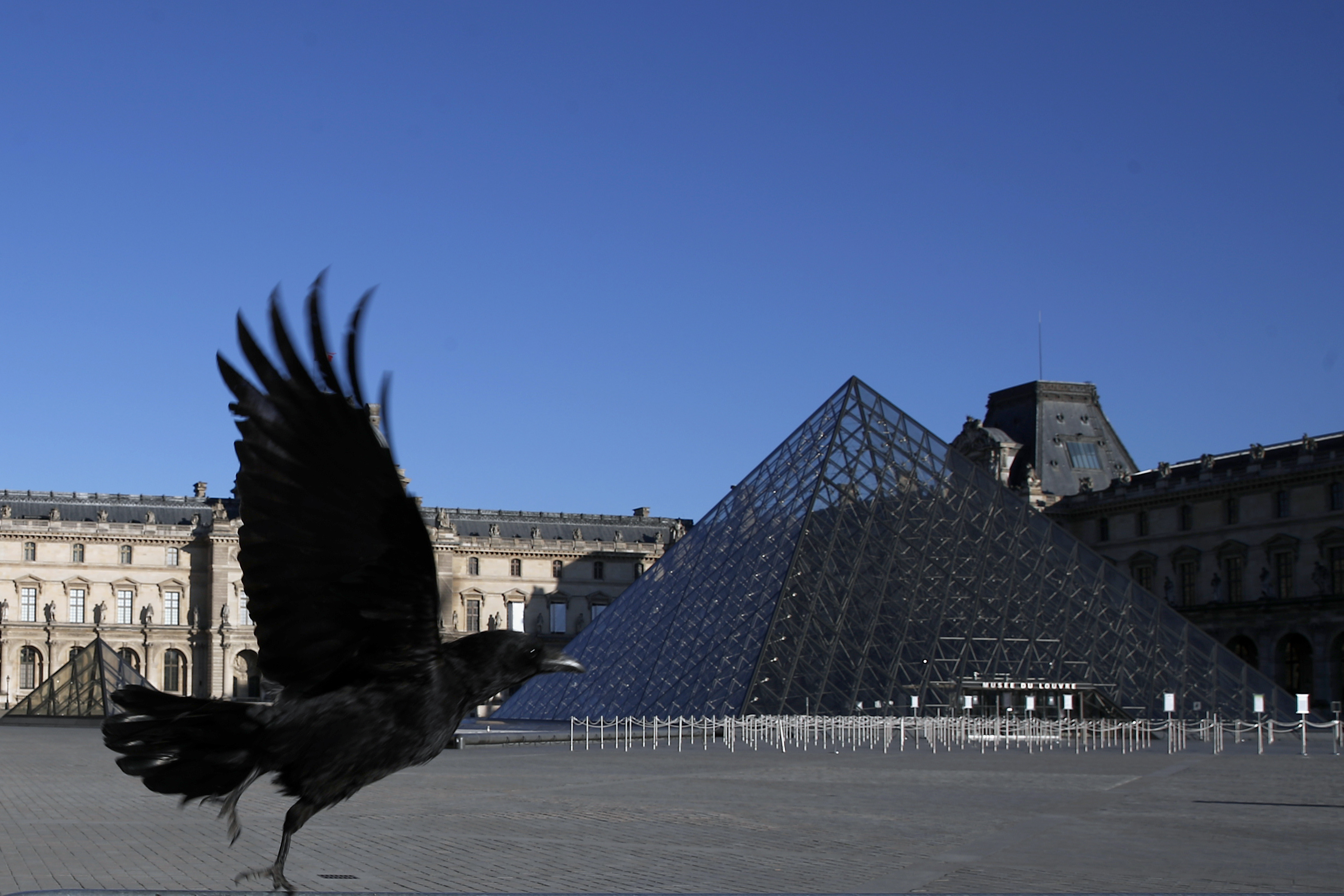 FILE - In this Monday, March 30, 2020 file photo, a black crow flies over in the deserted Louvre museum courtyard in Paris. (AP Photo/Francois Mori, File)