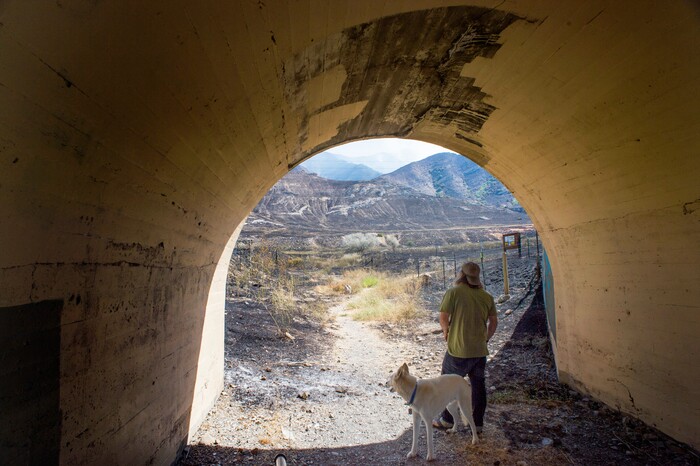 (Rick Egan  |  The Salt Lake Tribune) Collin Daybell and his dog Mako check out the damage from the Green Ravine fire, as it continues to burn in the distance, Wednesday, Sept. 4, 2019.
