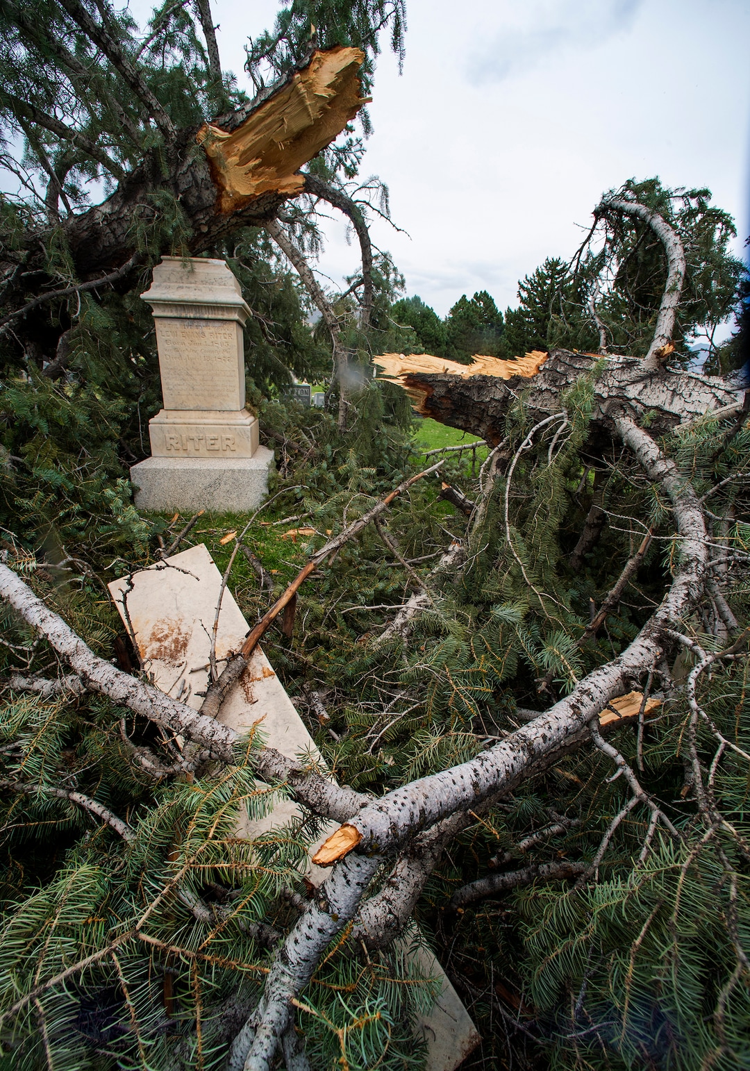 (Rick Egan  |  The Salt Lake Tribune)    Hundreds of headstones in the Salt Lake City Cemetery were damages in the recent wind storm, Friday, Sept. 18, 2020.