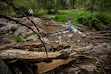 (Trent Nelson | The Salt Lake Tribune) Joe Rechsteiner looks at a foot bridge destroyed by flooding at Pine Valley Recreation Area on Wednesday, June 24, 2026.