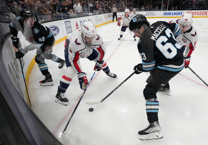 (Francisco Kjolseth | The Salt Lake Tribune) Washington Capitals defenseman Matt Roy (3) battles Utah Hockey Club left wing Matias Maccelli (63) during an NHL hockey game at the Delta Center in Salt Lake City on Monday, Nov. 18, 2024.