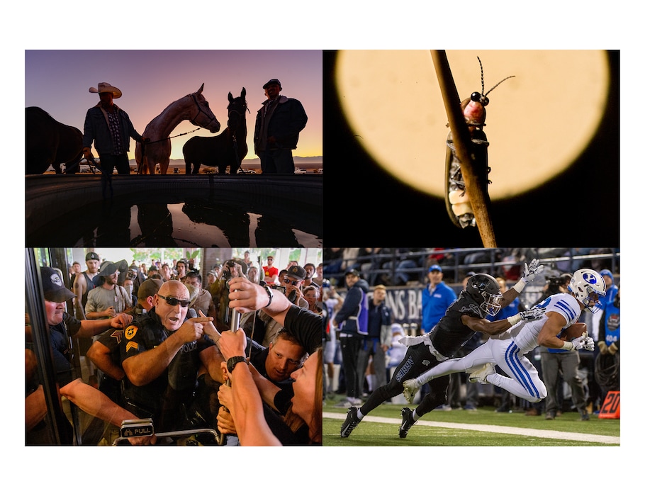 These photographs are by Tribune staff photographers Francisco Kjolseth, Leah Hogsten, Trent Nelson and Rick Egan.