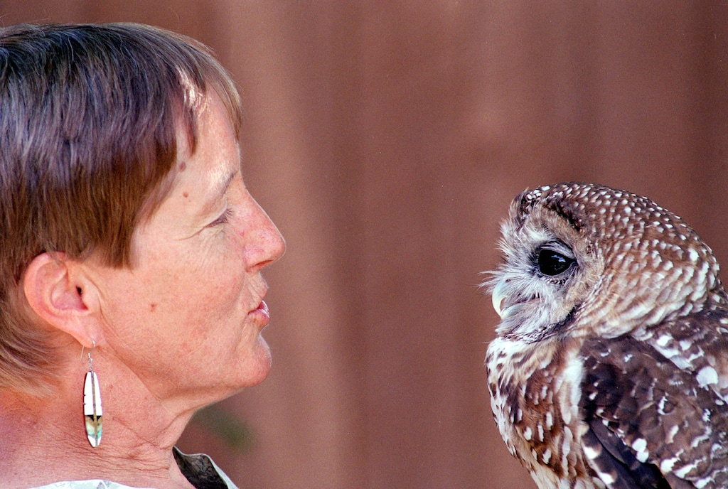 (Neil Jacobs | AP file photo) In this July 11, 2002 file photo, Kathleen Ramsay gets the attention of "Manchado," a Mexican Spotted Owl at the Wildlife Center near Espanola, N.M.