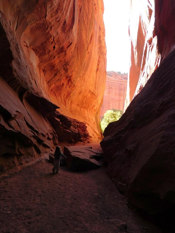 Erin Alberty  |  The Salt Lake TribuneThe walls of Singing Canyon are so high that the interior can be a shady retreat on a hot, sunny day in the desert.