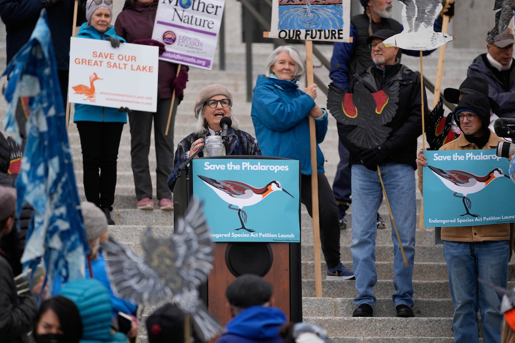 (Francisco Kjolseth | The Salt Lake Tribune) Great Salt Lake advocate and activist author Terry Tempest Williams, center, joins environmental groups, scientists and community members on the steps of the Utah Capitol to petition for a threatened species listing of Wilson's phalarope on Thursday, March 28, 2024, and by extension the health of the Great Salt Lake.