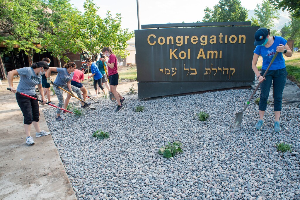 (Rick Egan  |  The Salt Lake Tribune)  Volunteers from The Church of Jesus Christ of Latter-day Saints help xeriscape the grounds around Congregation Koa Ami in 2020. The Salt Lake City synagogue is increasing security for High Holy Days.