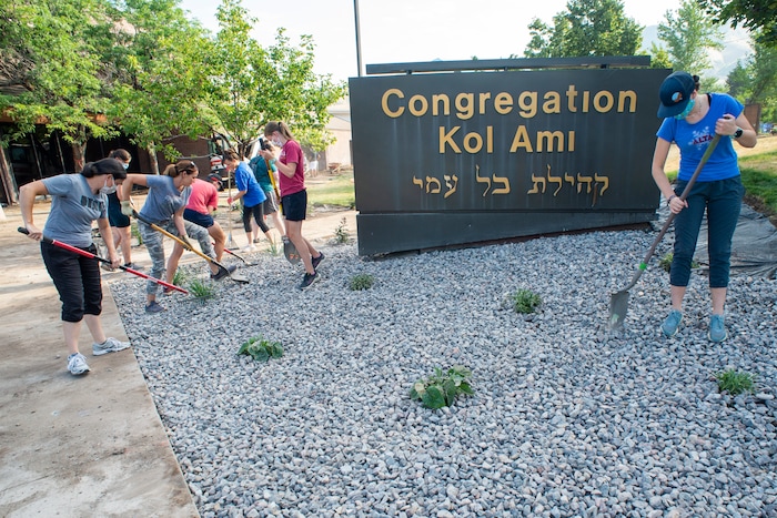 (Rick Egan  |  The Salt Lake Tribune)      Volunteers from the Church of Jesus Christ of Latter Day Saints Highland Utah South Stake help xeriscape the grounds around the congregation Koa Ami, on Wednesday, Aug. 5, 2020.