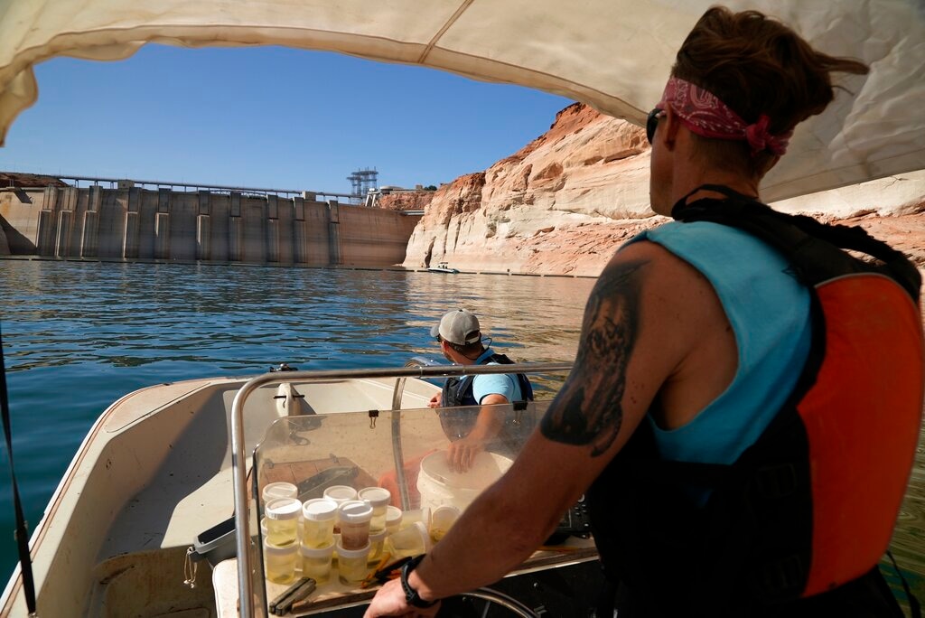 (Brittany Peterson | AP file photo) Utah State University master's student Barrett Friesen steers a boat near Glen Canyon dam on Lake Powell on June 7, 2022, in Page, Ariz. Six western states that rely on water from the Colorado River have agreed on a plan to dramatically cut their use. California, the state with the largest allocation of water from the river, is the holdout.