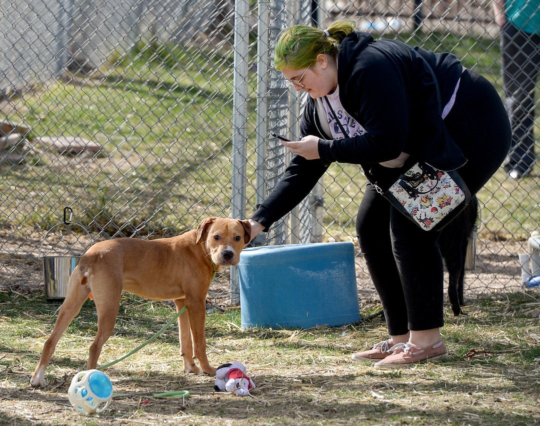 (Francisco Kjolseth  |  The Salt Lake Tribune) Asti Manning of Magna and her current dog Amy meet Red for the first time at the West Valley City Animal Shelter on Thursday, April 2, 2020, for a dog-to-dog introduction as shelter staff maintain their distance due to COVID-19. Many shelters are experimenting with new ways to connect animals to potential owners without allowing people into the shelter. Despite numerous restrictions, adoption numbers seem to be up.